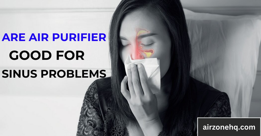 4 Reasons: Air Purifiers Good for Sinus Problems