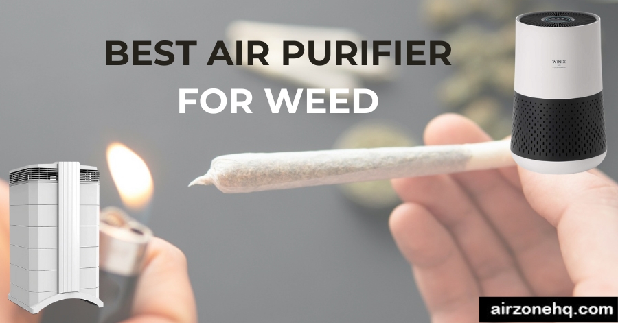 Discover the 6 Best Air Purifier for Weed Smoke